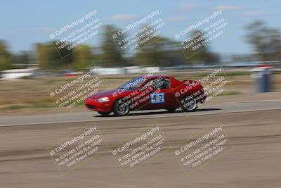 media/Oct-04-2025-OnGrid (Sat) [[44bd565ffa]]/Purple Group/Grapevine/